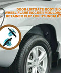 Blue Rocker Molding Retainer Clip Pack 30 Dope Nylon Clips For Hyundai Elantra Santa Fe Soul Sportage And Kia Models car application