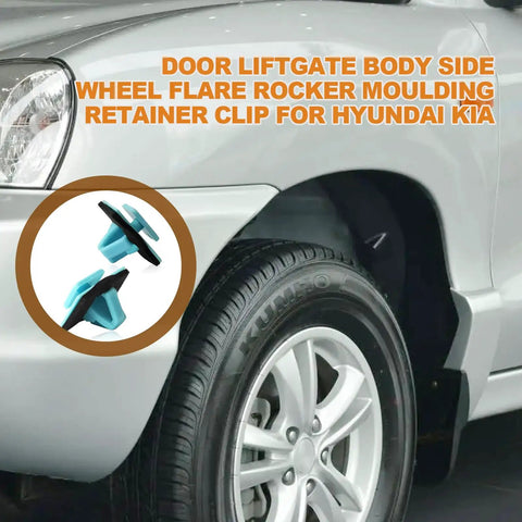Blue Rocker Molding Retainer Clip Pack 30 Dope Nylon Clips For Hyundai Elantra Santa Fe Soul Sportage And Kia Models car application