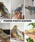 Various birds wearing reusable bird diaper flight suits with adjustable straps, highlighting the leakproof lining design.