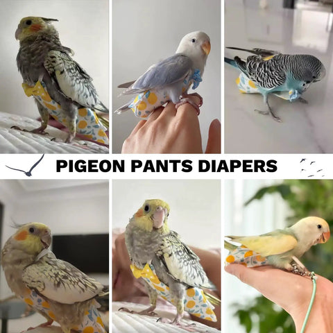 Various birds wearing reusable bird diaper flight suits with adjustable straps, highlighting the leakproof lining design.