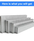 Workhorse 18 Gauge Brad Nails Assortment 4000 Count Tough As Nails Fasteners in various sizes stacked for woodworking.