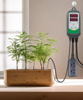 Smart WiFi ITC308 Digital Temperature Controller For Home Brewing, Fermentation, Incubation, And Greenhouse Monitoring with plants