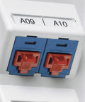 Panduit PSL-DCJB-BL RJ45 jack blockout device, blue plastic, dual ports.