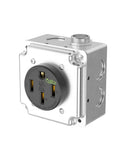 Nema 14-50 EV Charging Wall Socket Kit Featuring Dual Flush or Surface Mount Plates Plus 50 Amp Heavy Duty Receptacle installed