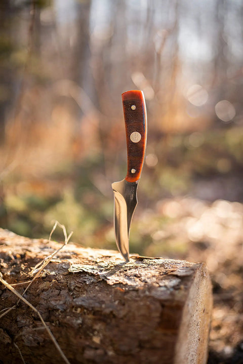 Generational USA Fixed Blade Knife With Three Point Five Inch Clip Point Skinner And Seven Point Twenty Five Inch Overall Length 1095 HC Stainless Steel Full Tang Bone Handle For Hunting Skinning Field Dressing And Outdoors Tough As Nails stuck in a log outdoors.