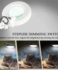 5X Magnifying Glass With Light And Rolling Stand Pro Grade 8 Diopter Real Glass Lens Stepless Dimmer over a cat