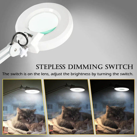 5X Magnifying Glass With Light And Rolling Stand Pro Grade 8 Diopter Real Glass Lens Stepless Dimmer over a cat