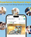 Mobile app showing Solar Powered Bird Feeder With Camera For Backyard Watching 2K HD Live Streaming AI Species Recognition Motion Alerts Weatherproof All Season Outdoor Cam Great Gift For Beginner Bird Watchers And Nature Lovers