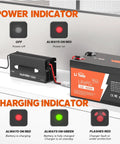 Beefy 80-Amp LiFePO4 Battery Charger For 12V Systems with LED indicators showing power and charging status connected to a battery.
