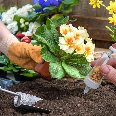 Mini Seed Spreader Handheld For Tiny Seeds 2025 Upgrade Seed Dispenser shown with a plant being sowed in garden soil