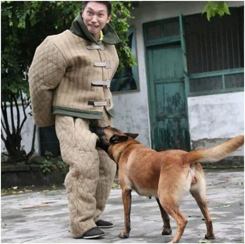 Trainer in Dog Training Bite Suit For Working Dogs Premium Anti Bite Jumpsuit with Belgian Malinois practicing bite training outdoors.