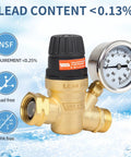 Front view of OULEME RV brass water pressure regulator valve with black knob, built-in gauge, 3/4" connector.