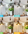 Ridiculously Bright 100W Equivalent LED A19 Bulbs 1500 Lumens 5000K Daylight White No Flicker Non Dimmable E26 lamps illustration