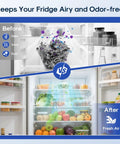 Refrigerator Air Filter Replacement For LT120F LG And Kenmore Elite 469918 9918; before and after fridge freshness comparison
