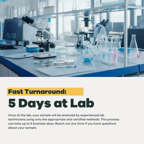 Laboratory workspace with microscope and glassware for Top Tier Home Water Test Kit For Well And City Tap Sources Checks One Hundred Sixteen Parameters Including Lead Copper Hardness Alkalinity Bacteria And Chlorine With Legit Epa Certified Lab Reports For Total Peace Of Mind.