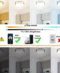 12 Inch LED Smart Flush Mount Ceiling Light With 20W Tunable White 2700K To 6500K RGB Color 16 Million Lit Ambience Voice And App Control With Alexa And Google Home Nickel Satin Finish Easy Ceiling Mount For Living Room Bedroom Or Office with brightness and color temperature settings displayed.