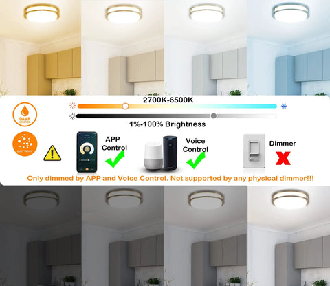 12 Inch LED Smart Flush Mount Ceiling Light With 20W Tunable White 2700K To 6500K RGB Color 16 Million Lit Ambience Voice And App Control With Alexa And Google Home Nickel Satin Finish Easy Ceiling Mount For Living Room Bedroom Or Office with brightness and color temperature settings displayed.