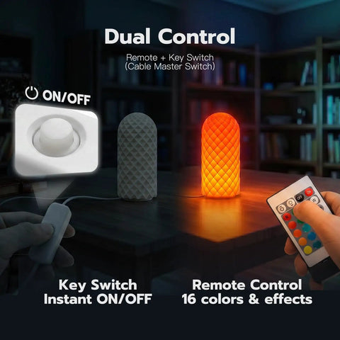 Dope 3D Printer LED Lamp Kit 001 with 24 key remote control showing dual control with key switch and RGB lighting effect
