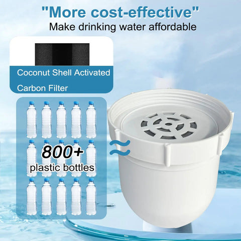 2 Pack Water Filter Replacements For Everyday Water Pitcher, 100 Gallon Service Life, Dual Coconut Shell Activated Carbon Filters Plus Pre Rinse Bag Included with bottle-saving comparison.