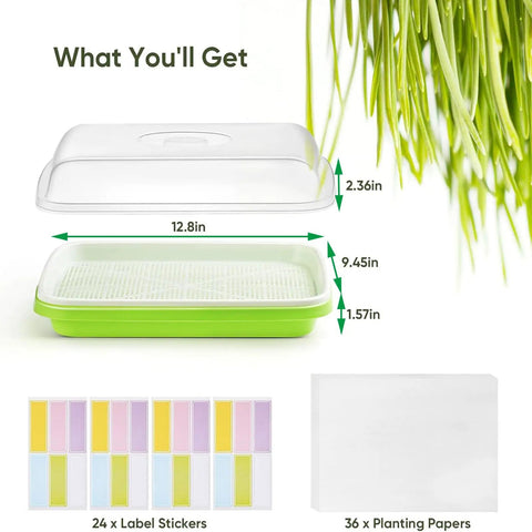 Six Pack Green Seed Sprouter Trays With Lids For Soil Free Germination Of Microgreens Sprouts And Wheatgrass At Home Indoors Or Outdoors Includes Planting Paper And Labels