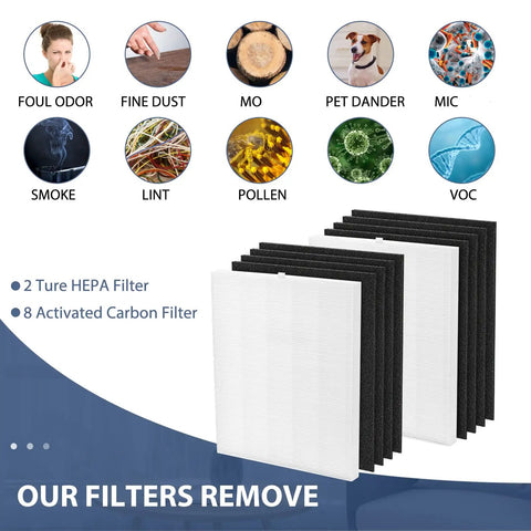 Premium Replacement C545 HEPA Filter Kit for Air Purifier, True HEPA S Filter, includes 2 HEPA filters and 8 carbon pre-filters