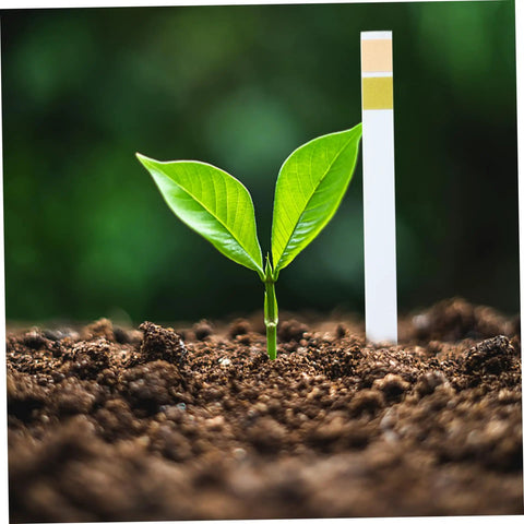 Soil Test Kit With 100 Strips For pH 4.5–9 next to a green plant in soil, illustrating easy pH testing for gardens and lawns.