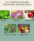 Herbs And Flowers Pruning Shears With Easy Lock Dope Lightweight Garden Snips For Precise Cuts Carbon Steel Blades Use Examples