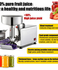 Fresh 450 Watt Electric Tomato Sauce Maker With Powerful Motor For Smooth Strawberry Jam And Puree, stainless steel design for durability.