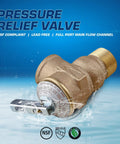 Midline Valve GUHW-QSW256 pressure relief valve, forged brass, 3/4 in FIP x MIP for tankless water heater, side view