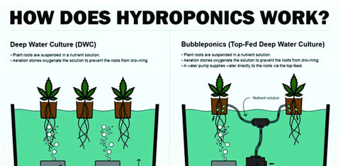 Diagram showing Deep Water Culture and Bubbleponics systems, part of DWC Deep Water Culture Hydroponic Garden System Kit For A 5 Gallon Bubble Bucket With Bubbleponics Includes Nutrients And pH Testing And Adjusting Kits No Fuss Setup For Fast Solid Grow Results.
