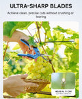 6.5 Inch Pruning Shears 2 Pack With Straight And Curved Blades Duo Garden Snips used for trimming grapes