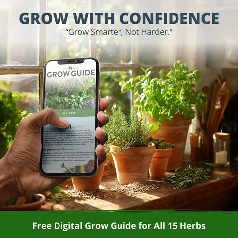 Hand holding phone with herb seed pack guide, plants and pots on windowsill, text: 'Grow with Confidence'