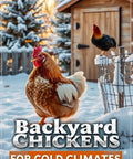 Chicken in snowy coop setting, promoting Winter Chicken Care For Cold Climates Easy Coop Setup And Breed Guide.