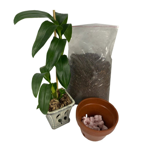 Premium Bulk Anti Static Packing Peanuts 14 Cubic Feet Heavy Duty Void Fill For Secure Electronics Shipping next to potted plant and soil.