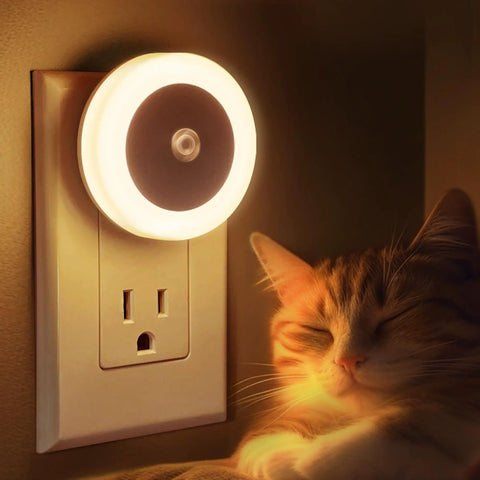 4 Pack Plug In LED Night Lights With Light Sensor Auto On At Dusk For Kids Room And Nursery next to a sleeping cat