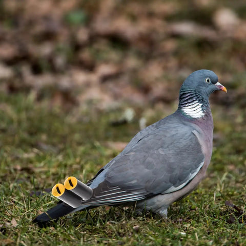 Gray pigeon on grass with Two Pack Pigeon Training Whistles for Birds, Adjustable Frequency by tail.