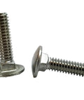Stainless steel 1/4-20 carriage bolts; two bolts shown, one upright with round head, one horizontal showing threads.