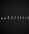 600 Piece Small Screws And Nuts Kit With 12 Types Stainless Steel Micro Fasteners in a row on a black background.