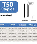 Heavy Duty T50 Staples Half Inch Leg 700 Count Galvanized Crown Nails Heavy Lister dimensions chart with wire thickness.
