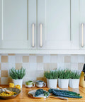 10 Pack Brushed Satin Nickel Cabinet Pulls 5 Inch 128mm on kitchen cabinets with greenery and kitchen utensils in view