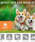 Two dogs with a Dog First Aid Kit For Active Pets On The Go Emergency Medical Supplies For Home Car Camping Hiking And Travel Ready To Handle Scrapes Cuts Tick And Bite Injuries With A Compact Durable Case