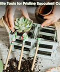 Light Green 10 Piece Garden Tool Set With Trowel Hoe Shovel And Rake For Indoor And Outdoor Gardening With a succulent plant