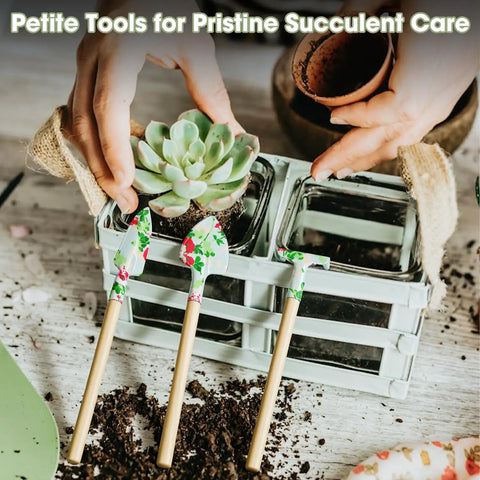 Light Green 10 Piece Garden Tool Set With Trowel Hoe Shovel And Rake For Indoor And Outdoor Gardening With a succulent plant