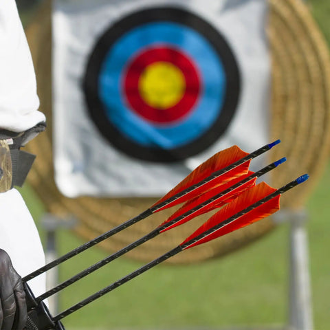 Target practice with arrows featuring shield cut arrow vanes 20 pack 3 inch turkey feather fletchings for right wing fletching DIY target shooting