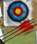 Shield Cut Arrow Vanes 10 Pack Four Inch Turkey Feather Fletching Orange for target shooting with gloves near target