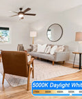 Living room lit by 8 Pack E12 Ceiling Fan Light Bulbs 60W Equivalent LED Candelabra Bulbs Kickin Bright Daylight White 5000K