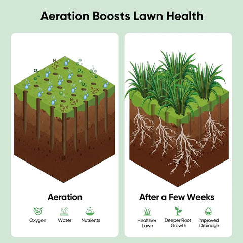 Diagram showing benefits of lawn aeration with the Manual Lawn Aerator With 16 Sharp Spikes For Deep Soil Penetration In A 4 By 4 Grid
