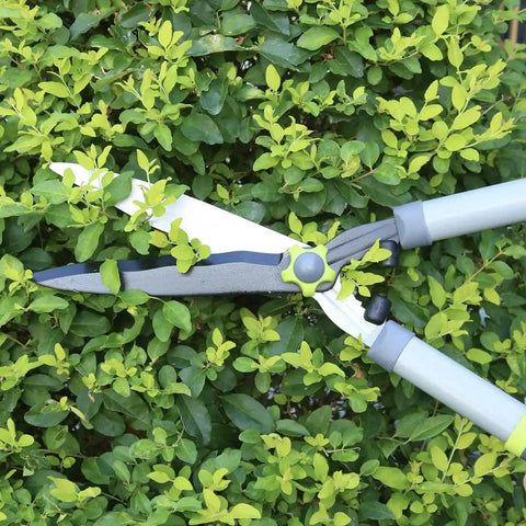23 Inch Hedge Shears from Three Piece Garden Pruning Tool Set With 28 Inch Lopper 23 Inch Hedge Shears And 8 Inch Bypass Pruner Beast Mode Heavy Duty Pro Grade Branch Cutters For Thick Branches Tree Trimming And Hedge Care, trimming green shrub.