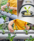 Hydroponics Starter Kit With 72 Rockwool Cubes And 72 Mesh Net Cups installed in garden tower, seed starting visible.