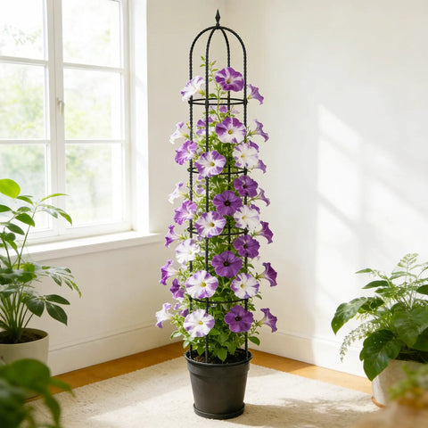 Beefy 76 Inch Weather Resistant Rustproof Metal Garden Trellis For Climbing Plants, Rock Solid Support For Roses Clematis Tomatoes And Vines, Indoor Outdoor Use, 12 Inch Diameter, 2 Pack in a living room with purple flowers